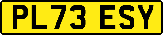 PL73ESY