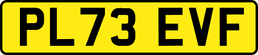 PL73EVF