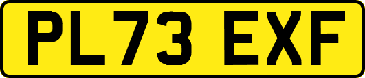 PL73EXF