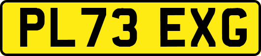 PL73EXG
