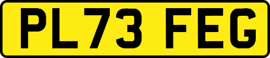 PL73FEG