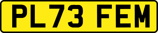 PL73FEM