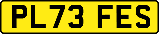 PL73FES