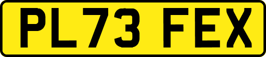 PL73FEX