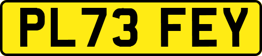 PL73FEY