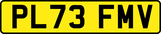 PL73FMV