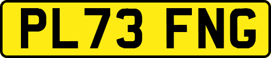 PL73FNG