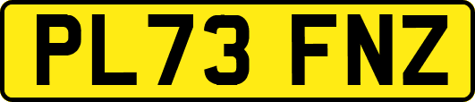 PL73FNZ