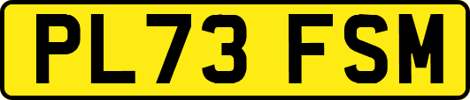 PL73FSM