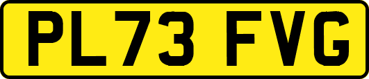 PL73FVG