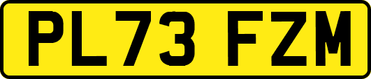 PL73FZM