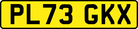 PL73GKX
