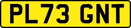 PL73GNT