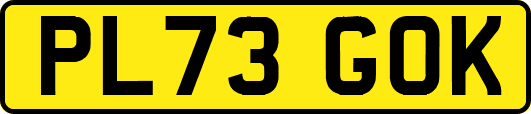 PL73GOK