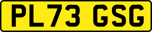 PL73GSG