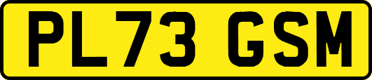 PL73GSM