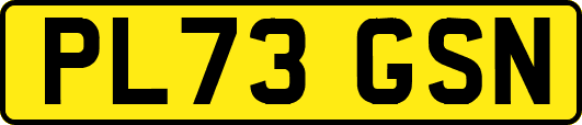 PL73GSN
