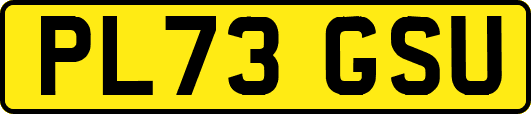 PL73GSU