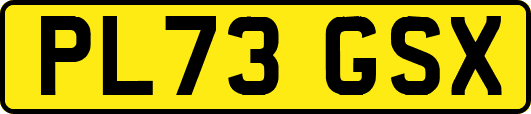 PL73GSX