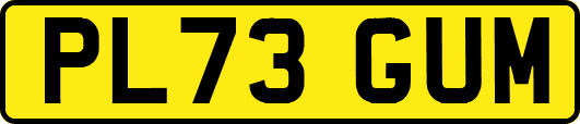 PL73GUM
