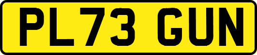 PL73GUN