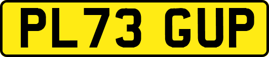 PL73GUP