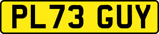 PL73GUY