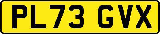 PL73GVX