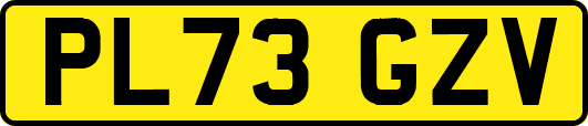 PL73GZV