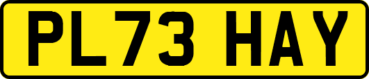 PL73HAY