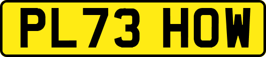 PL73HOW