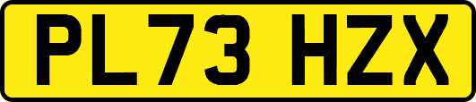 PL73HZX