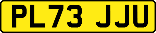 PL73JJU