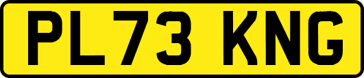 PL73KNG