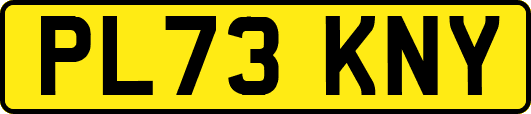 PL73KNY