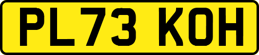 PL73KOH