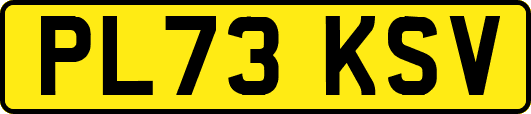 PL73KSV