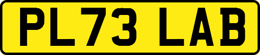 PL73LAB