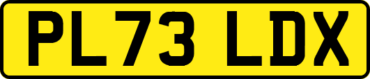 PL73LDX