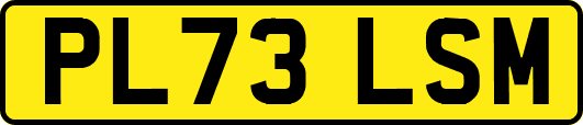 PL73LSM