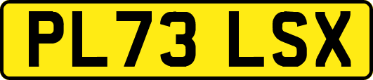 PL73LSX