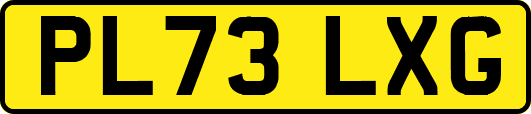 PL73LXG