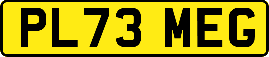 PL73MEG