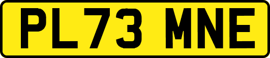 PL73MNE