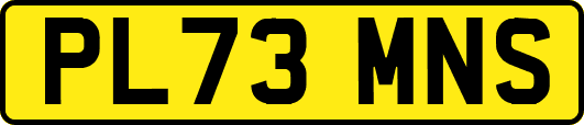 PL73MNS