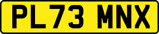 PL73MNX