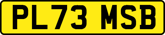 PL73MSB