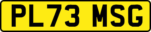 PL73MSG