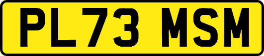 PL73MSM