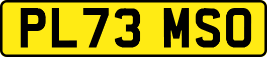 PL73MSO